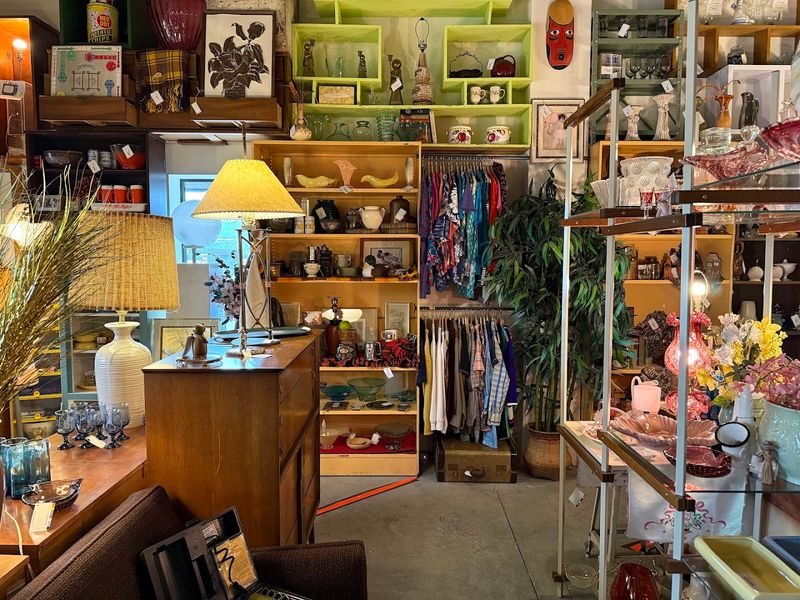 The Vendors That Make Every Visit Feel New