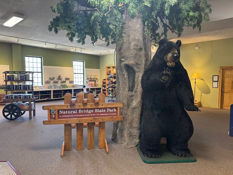 The Visitor Center and Getting Your Bearings