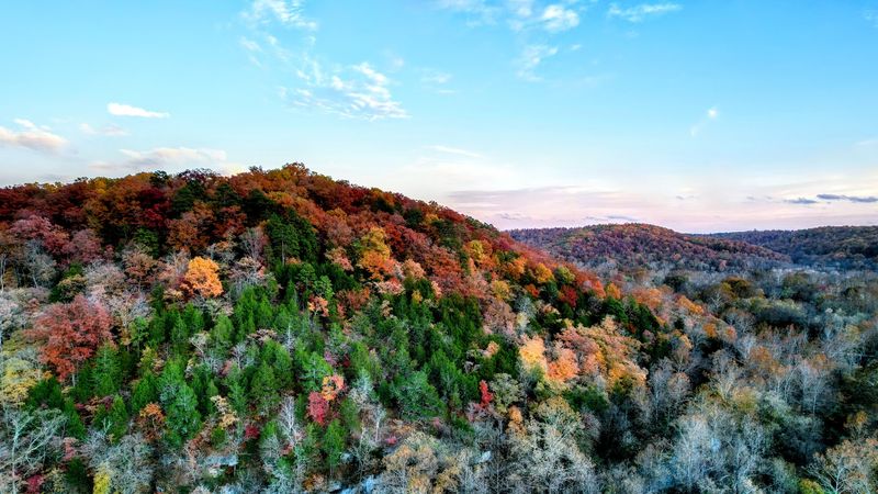 The Visual Impact on the Ozark Plateau Is Sparking Real Debate in Zoning Meetings