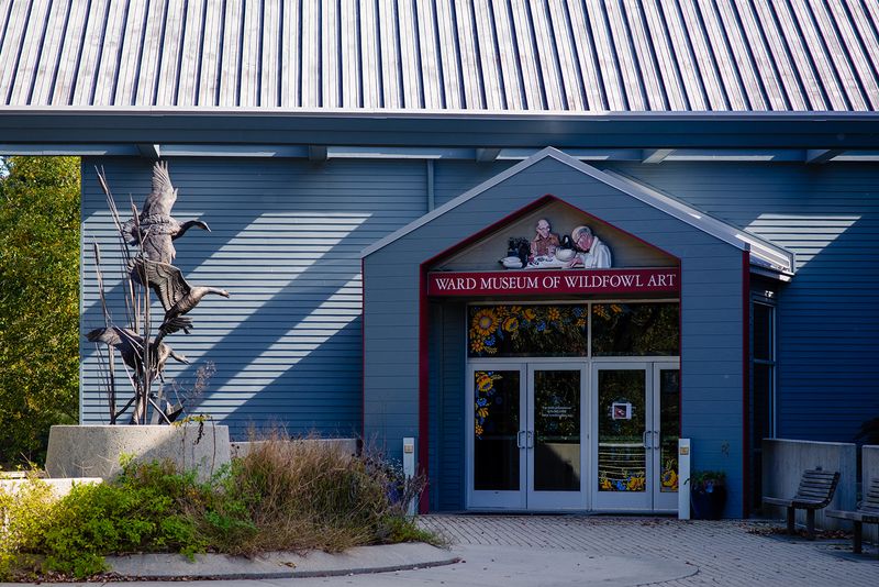 The Ward Museum Of Wildfowl Art The Ward Museum Of Wildfowl Art