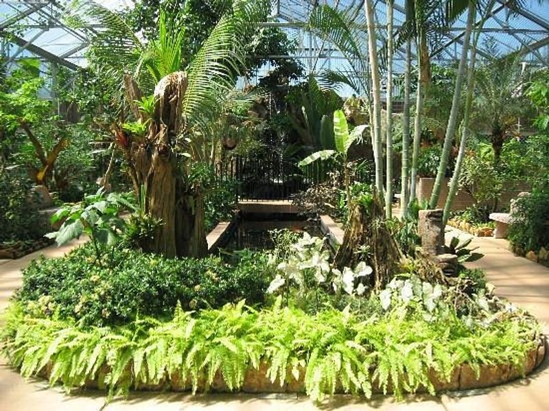 The Warren Loose Conservatory, a Tropical World Under One Roof