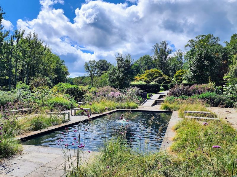 The Water Features Do Half The Work