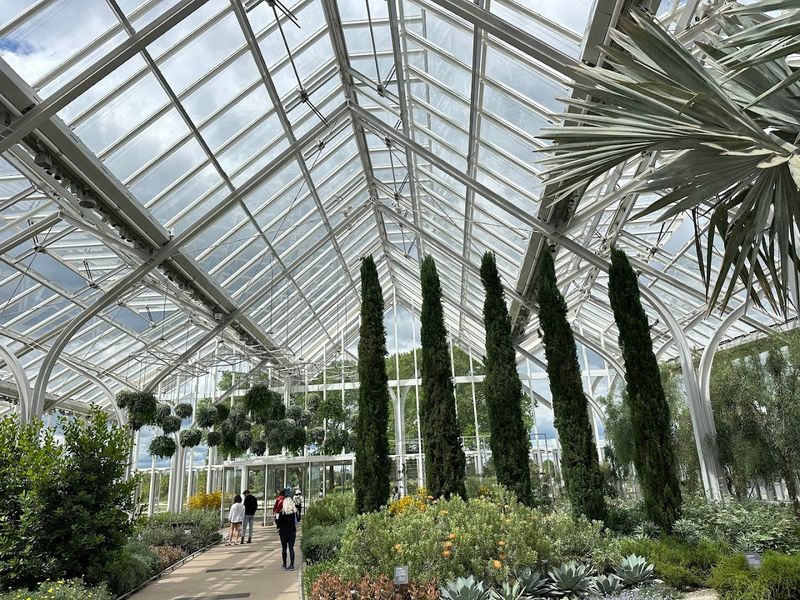 The West Conservatory Feels Like A Deep Exhale