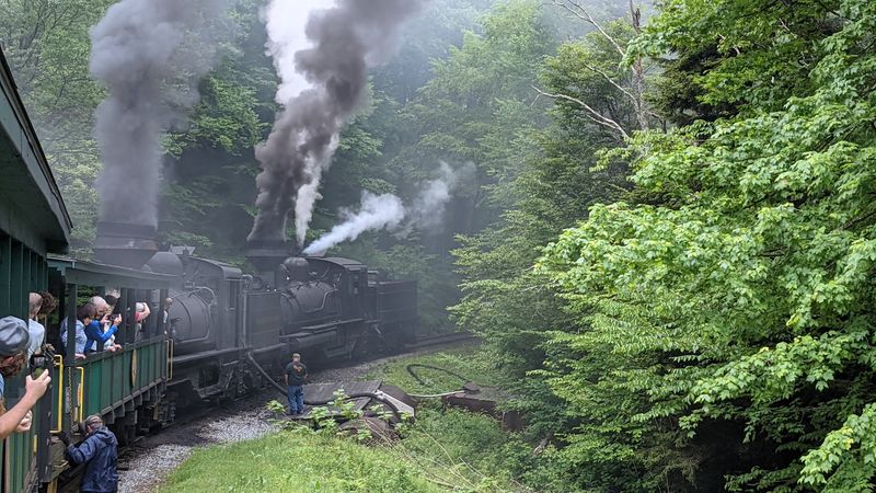 The Whittaker Station Stop and Logging Camp