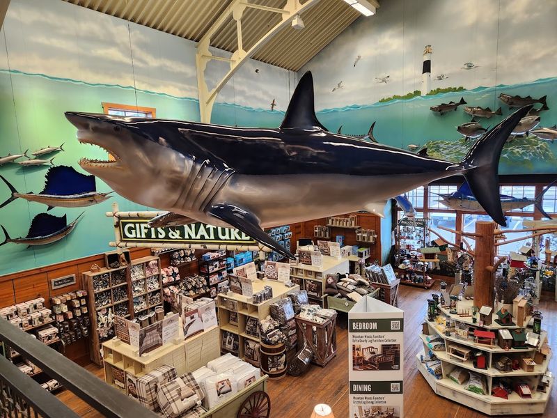 The Wilderness-Themed Interior Design
