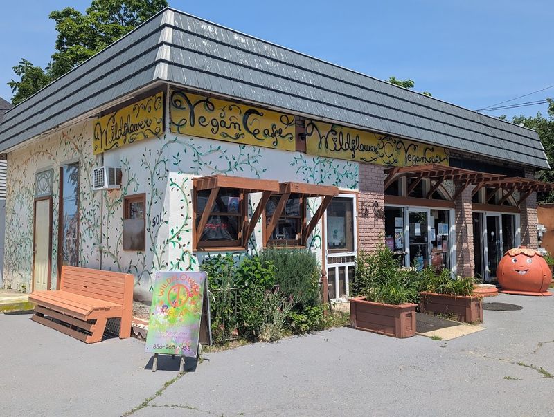 The Wildflower Vegan Cafe Experience