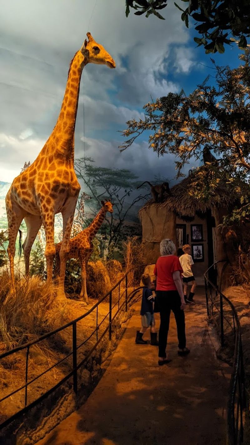 The Wildlife Photography Gallery