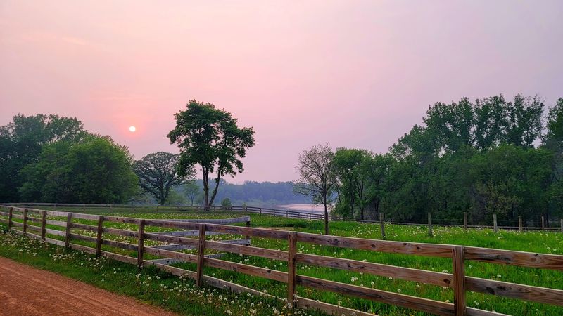 The Wildlife and Natural Springs That Make Every Walk Interesting