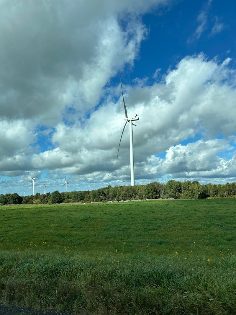 The Wind Never Really Stops