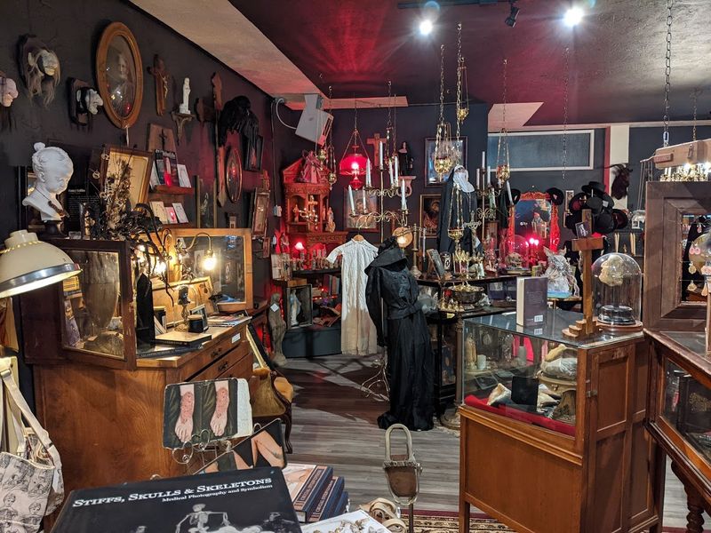 The Witchy, Mystical Side of the Shop