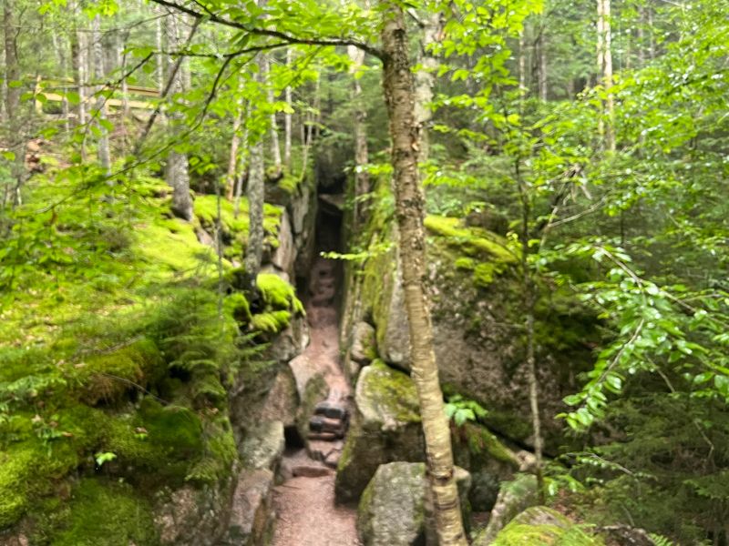 The Wolf Den, Where the Trail Gets Gloriously Tight The Wolf Den, Where the Trail Gets Gloriously Tight