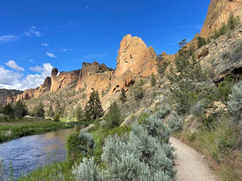The Wolf Tree Trail for Those Who Prefer Fewer Crowds