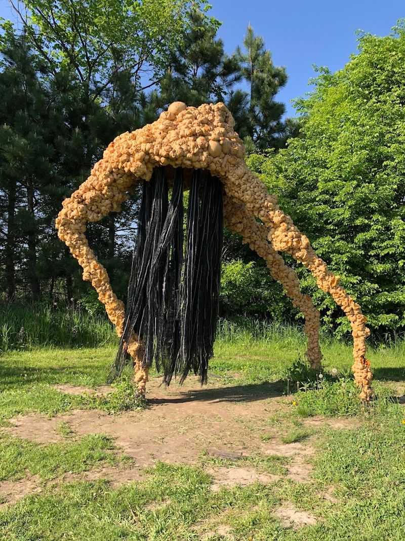 The Wooded Paths Add a Whole New Mood