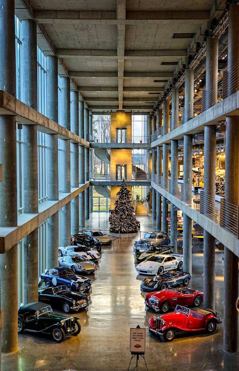 The World's Largest Lotus Race Car Collection Is Here Too