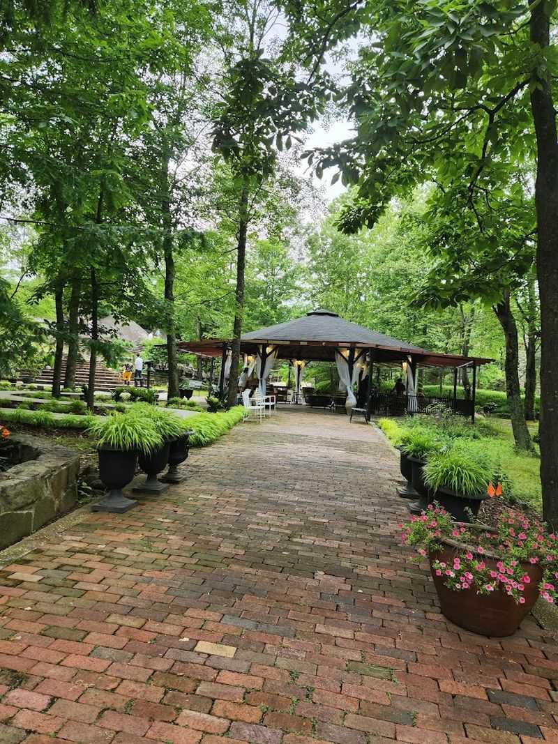 The Xeric Garden Where Desert Meets the Mid-Atlantic