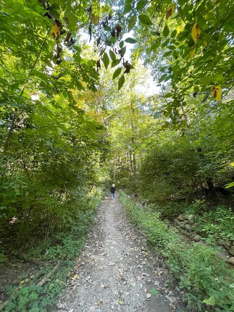 Thirteen Acres of Wooded Grounds Open for Exploration