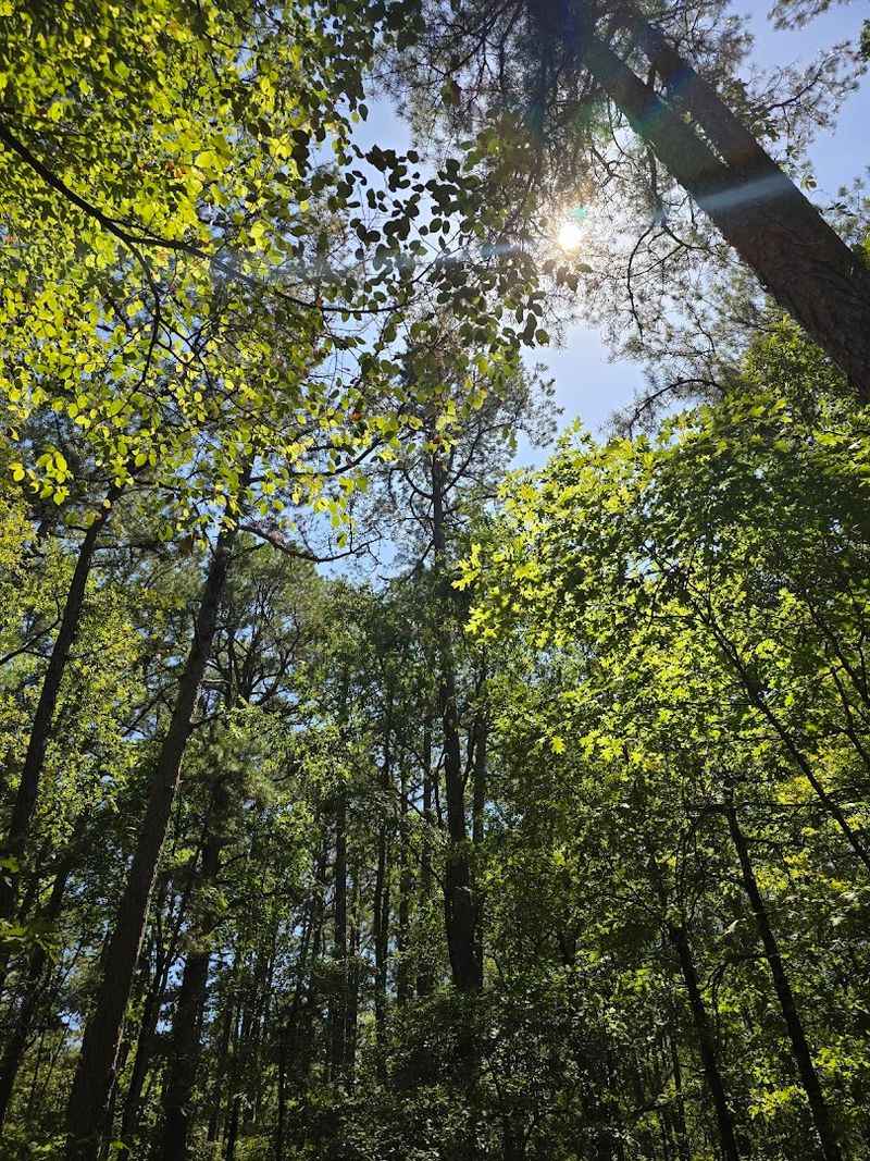 A First Look at Welling Ridge Trails