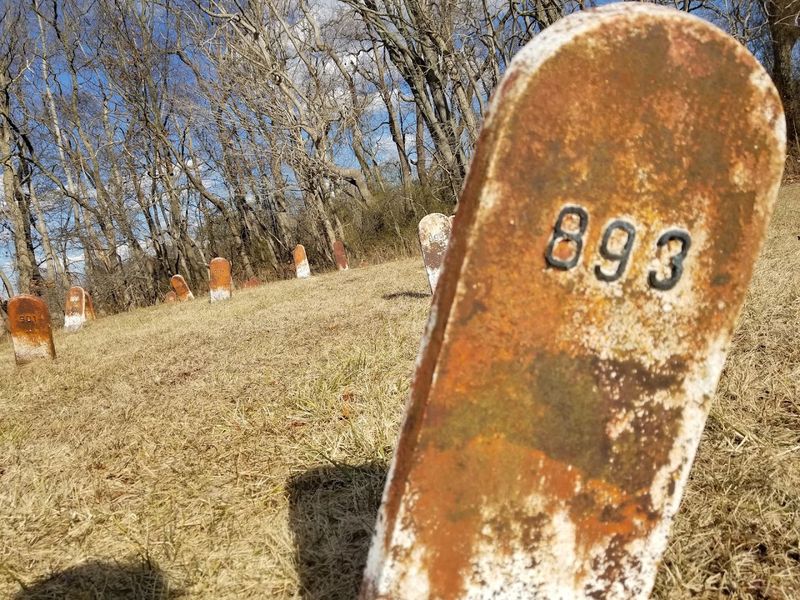 924 Numbered Graves and the Stories They Don't Tell
