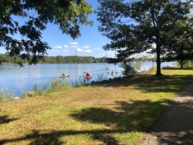 The Magic of Mercer Lake in Spring
