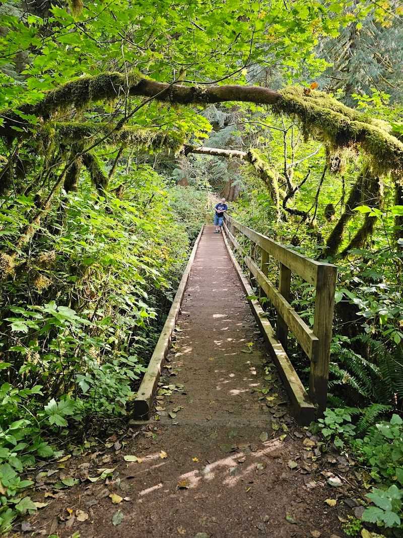This Trail Feels Better When You Slow Down This Trail Feels Better When You Slow Down