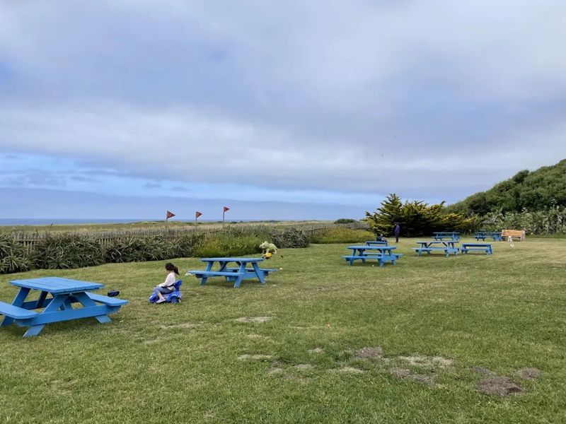 Those Bright Blue Picnic Tables