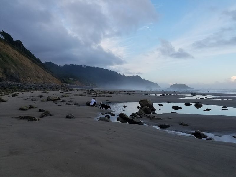 Tide Pooling At The Basalt Rock Shelves