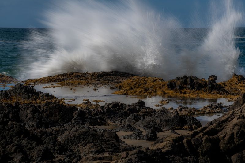 Tide Pools, Wildlife, and the Broader Coastal Ecosystem Around the Churn