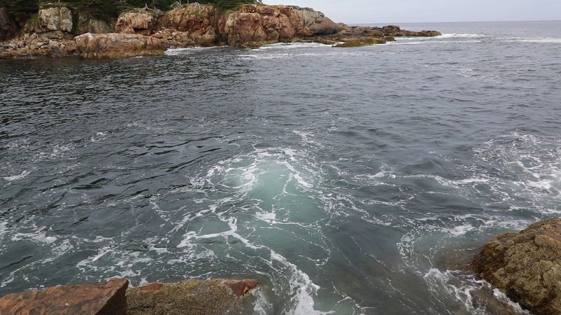 Tide Pools and Low-Tide Exploration