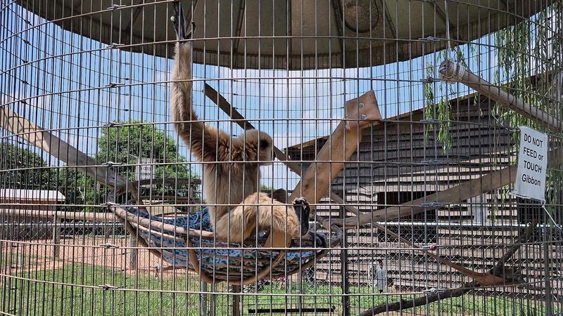 Animal Encounters That Let You Get Hands-On