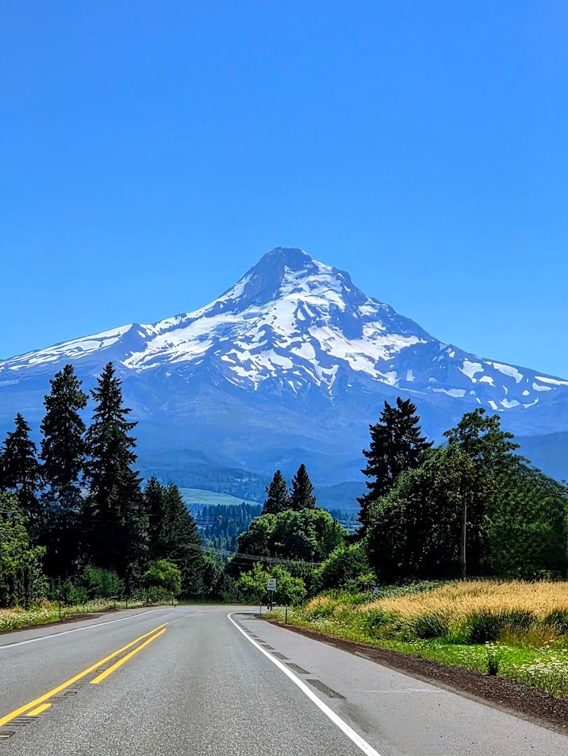 Tips for Making the Most of Your Visit Tips for Making the Most of Your Visit