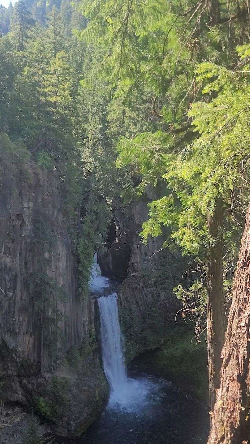 Toketee Falls, Umpqua National Forest, Oregon