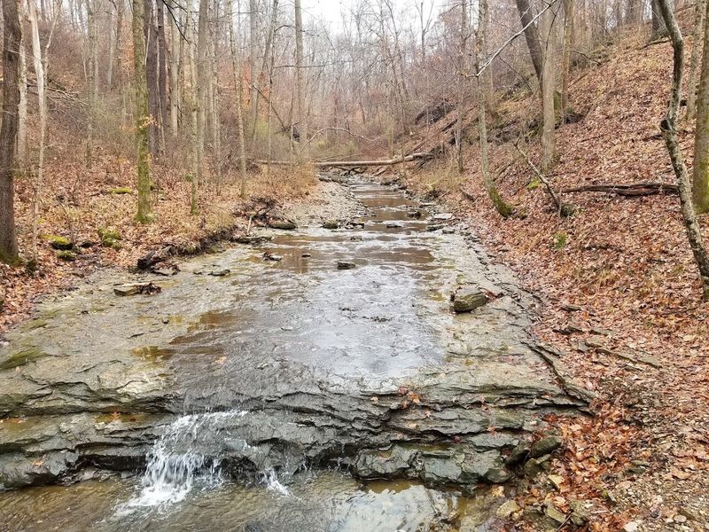 Trail 2 Runs Directly Along the Creek Bed