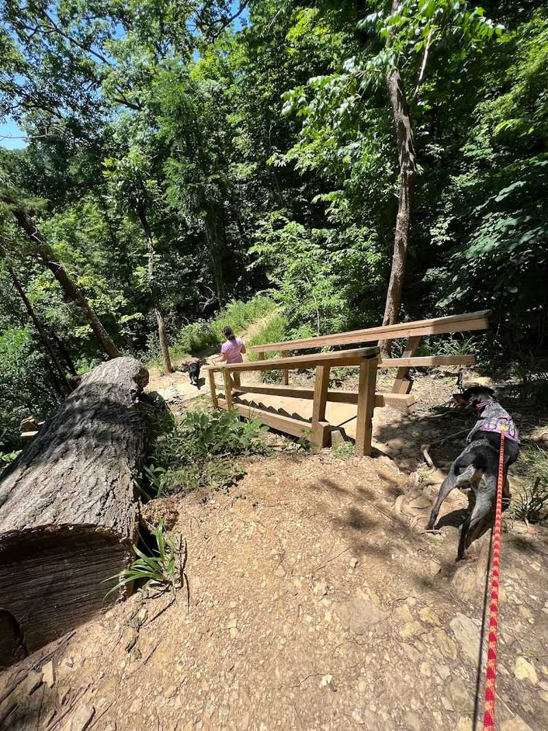 Trail 4 and the Descent Into Hoffman Canyon