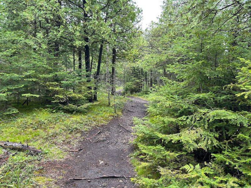 Trail Conditions and What to Know Before You Go