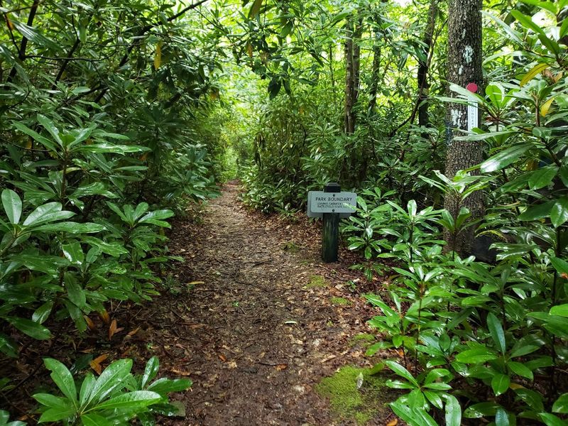 Trail Difficulty and What to Expect on the Path