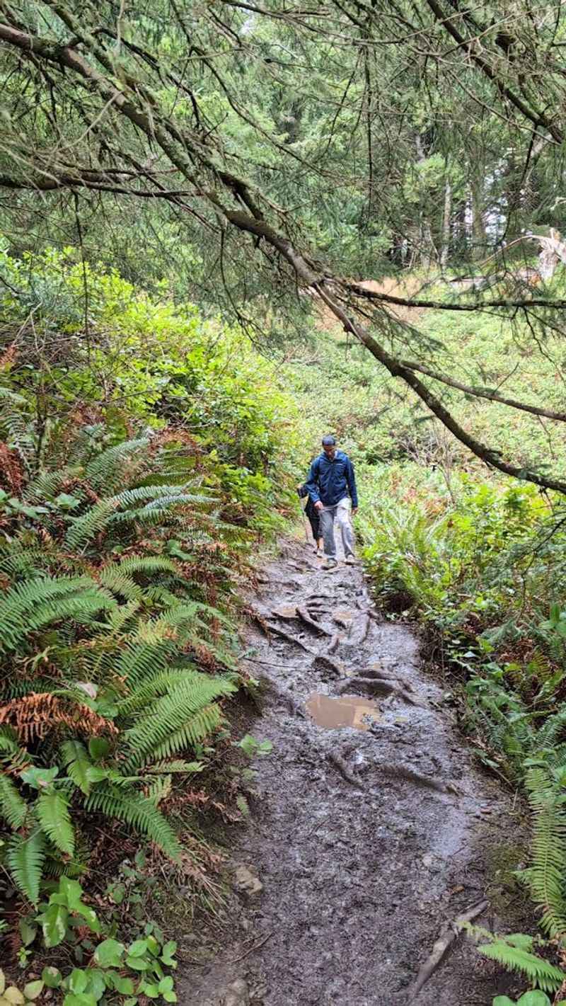 Trail Difficulty and What to Expect