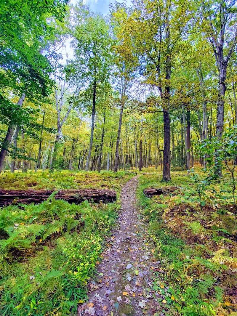 Trail Food and Fueling Up for a Multi-Day New Jersey Backpacking Trip