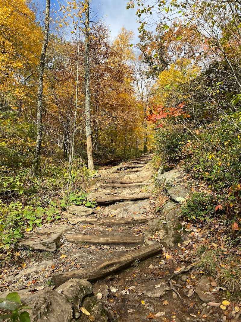 Trail Prep and Gear That Will Save Your Trip