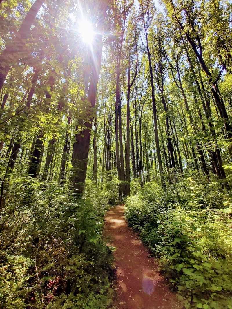 Trails Along the Little Gunpowder Falls River