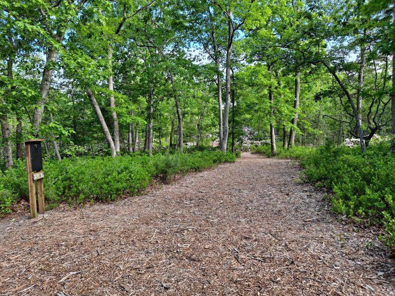 Trails Built for Every Kind of Walker