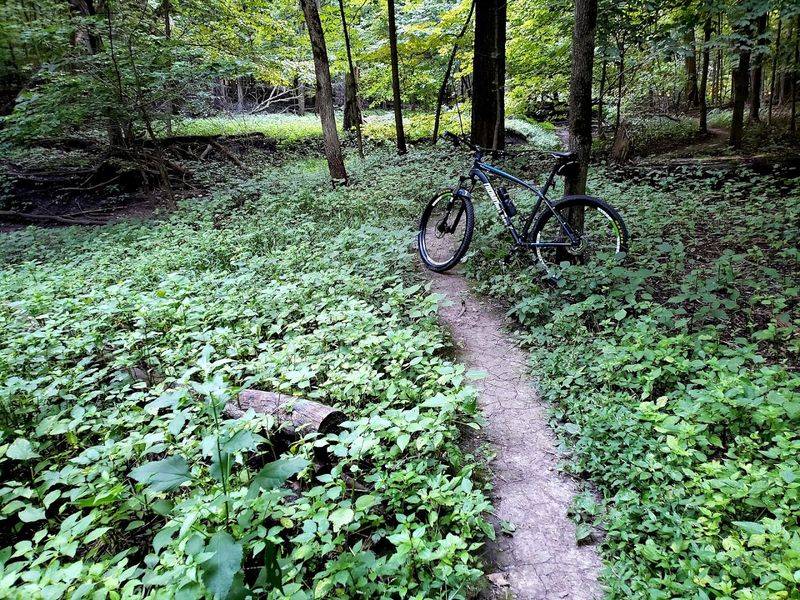 Trails That Connect You to Something Bigger
