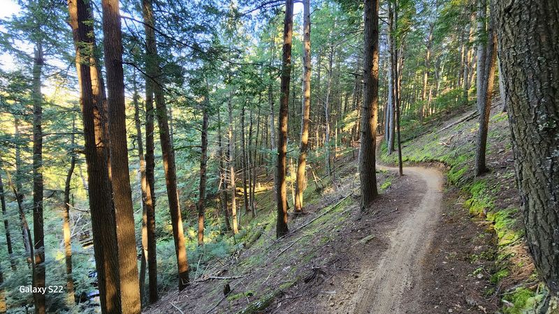 Trails That Go From Breezy Strolls to Full-On Adventures
