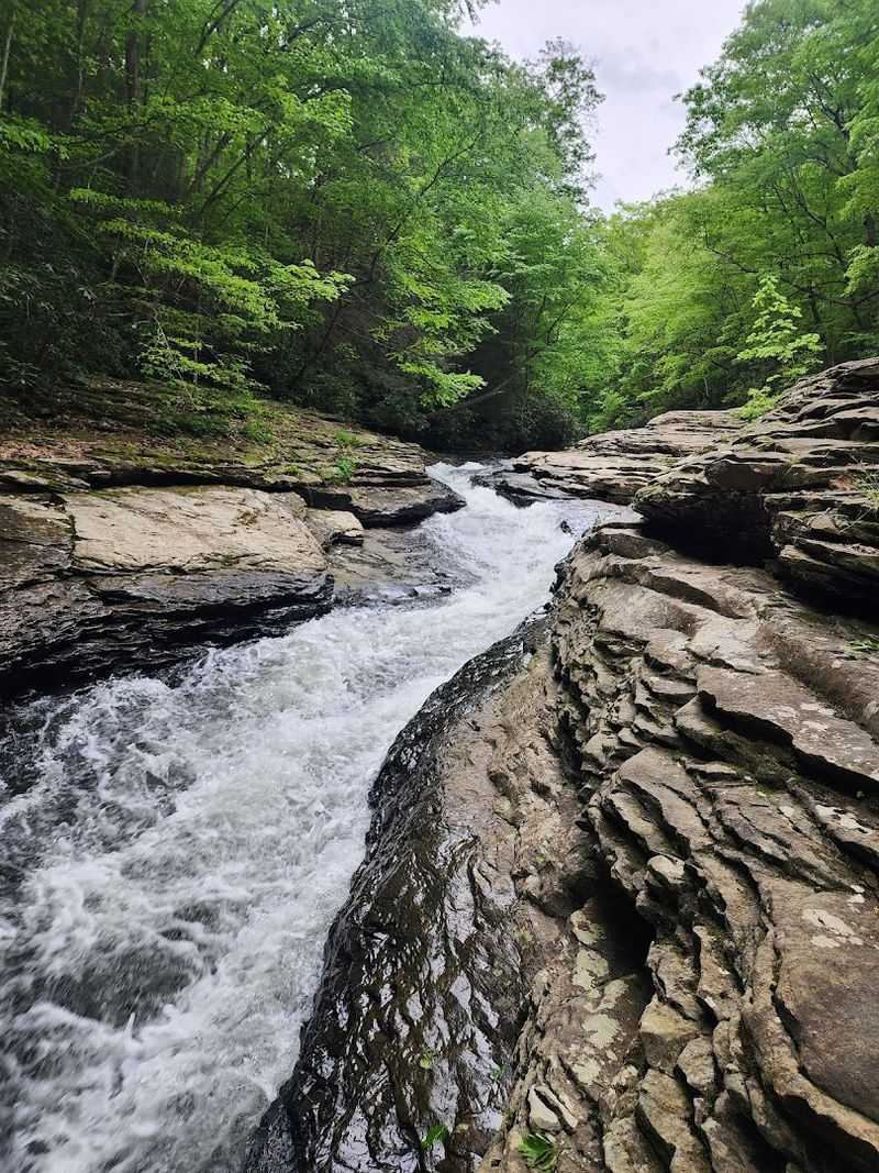 Trails That Keep You Near Water
