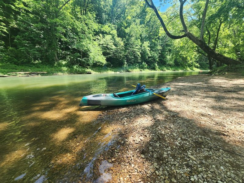 Trip Options That Work for Every Skill Level and Schedule