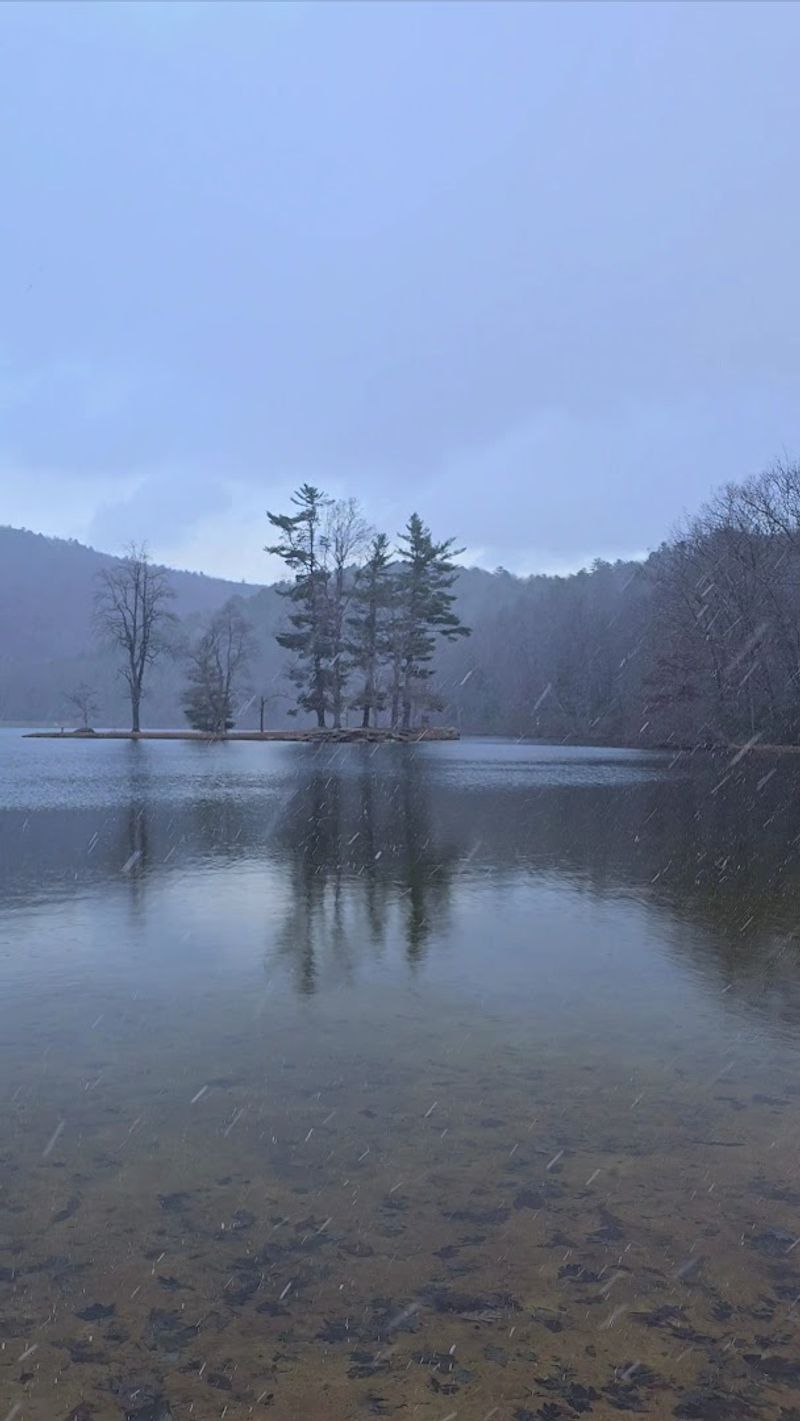 Trout Season Magic at the Upper Lake