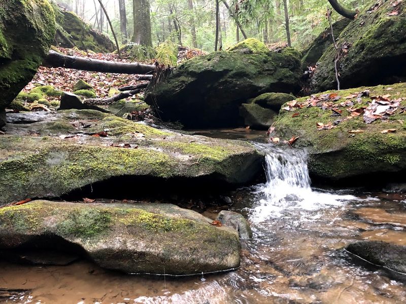 True Solitude and Primitive Recreation Far From the Crowds