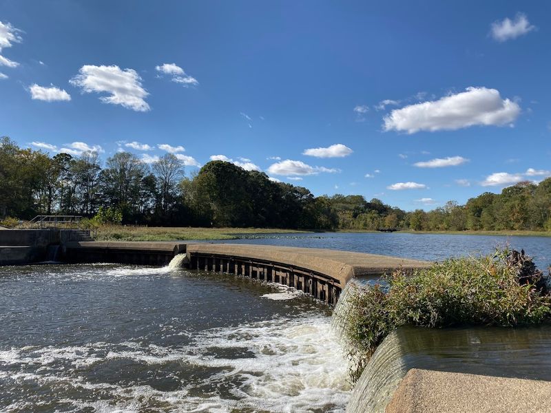 Tuckahoe State Park