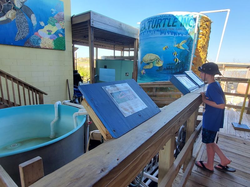 Turtle Talks, Tours, and Hands-On Learning