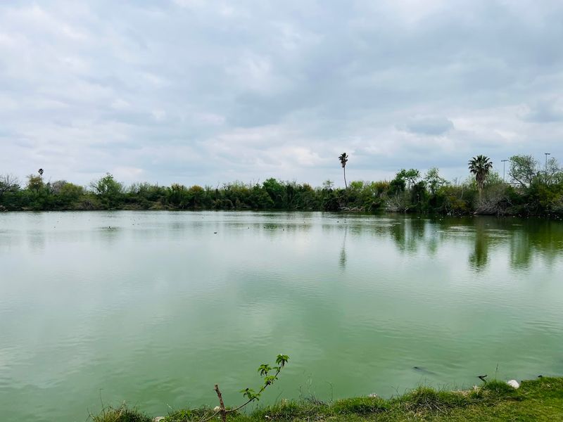 Two Large Ponds That Anchor the Whole Experience