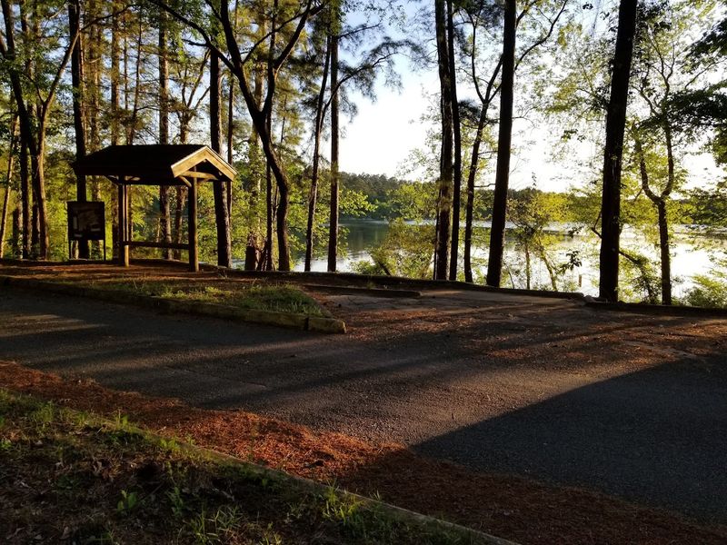 Tyler State Park Campground, East Texas Tyler State Park Campground, East Texas